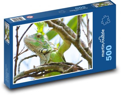 Iguana - reptile, animal - Puzzle of 500 pieces, size 46x30 cm 