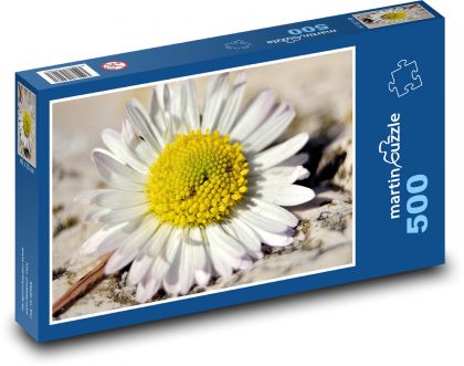 Sedmikráska - okvětní lístky, květina - Puzzle 500 dílků, rozměr 46x30 cm
