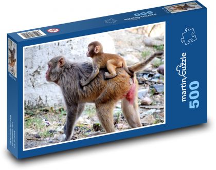Opice - paviány, primáty - Puzzle 500 dielikov, rozmer 46x30 cm 