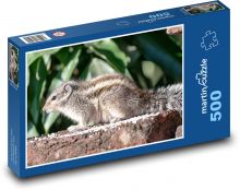 Wiewiórka - gryzoń, zwierzę Puzzle 500 elementów - 46x30 cm