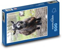 Koza trpasličí - hospodářské zvíře, farma Puzzle 500 dílků - 46 x 30 cm