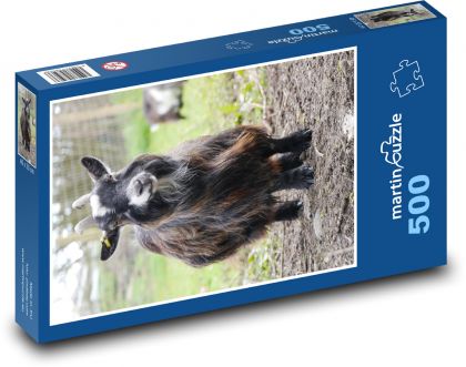 Trpasličí koza - hospodárske zviera, farma - Puzzle 500 dielikov, rozmer 46x30 cm 