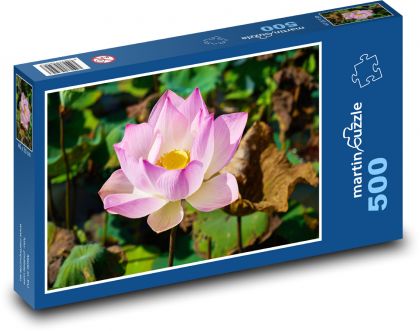 Lotus - Blume, Blume - Puzzle - 500 Teile