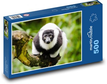 Lemur - zblízka, zvíře - Puzzle 500 dílků, rozměr 46x30 cm