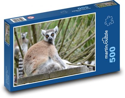 Madagascar lemur - animal, mammal - Puzzle of 500 pieces, size 46x30 cm 