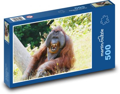 Orangutan - opice, zvíře - Puzzle 500 dílků, rozměr 46x30 cm