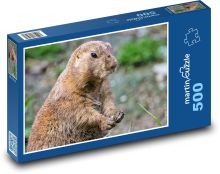 Prairie pes - zviera, hlodavec Puzzle 500 dielikov - 46 x 30 cm
