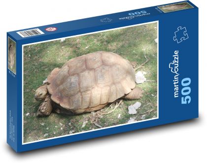 Želva - krunýř, plaz - puzzle 500 dílků