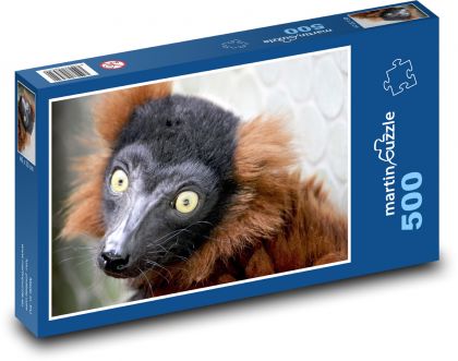 Maki červený - lemur, zvíře - puzzle 500 dílků