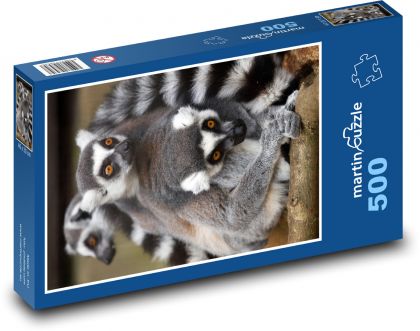 Zvíře - lemur, savec - Puzzle 500 dílků, rozměr 46x30 cm