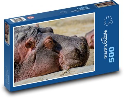 Hipopotam - zwierzę, zoo - Puzzle 500 elementów, rozmiar 46x30 cm