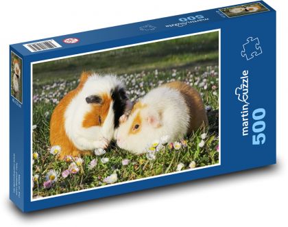 Morče - sedmikrásky, zvířata - puzzle 500 dílků