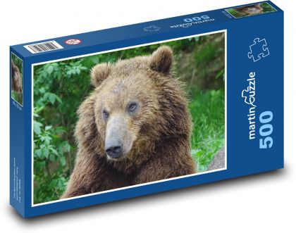 Medveď kamčatský - ZOO Brno, zviera - Puzzle 500 dielikov, rozmer 46x30 cm 