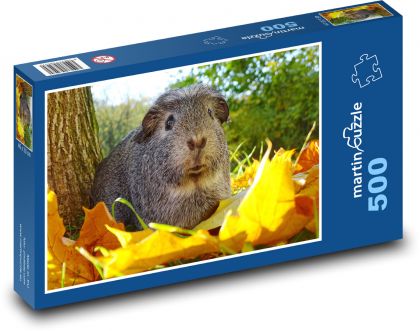Morča - jeseň, zviera - Puzzle 500 dielikov, rozmer 46x30 cm 