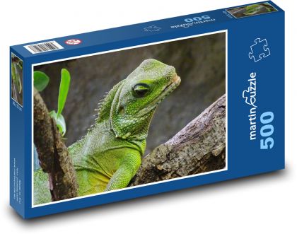 Lizard - terrarium, reptile - Puzzle of 500 pieces, size 46x30 cm 