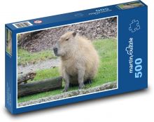 Kapybara - zvíře, zoo Puzzle 500 dílků - 46 x 30 cm