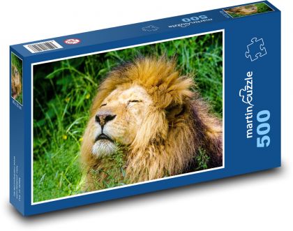 Lev - zvíře, šelma - Puzzle 500 dílků, rozměr 46x30 cm
