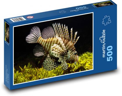 Mořská ryba - pod vodou, moře - Puzzle 500 dílků, rozměr 46x30 cm