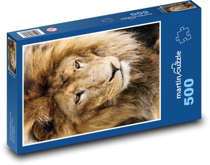 Lew - król zwierząt, zwierzę - Puzzle 500 elementów, rozmiar 46x30 cm
