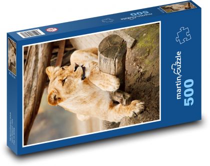 Lvice - zvíře, lev - puzzle 500 dílků