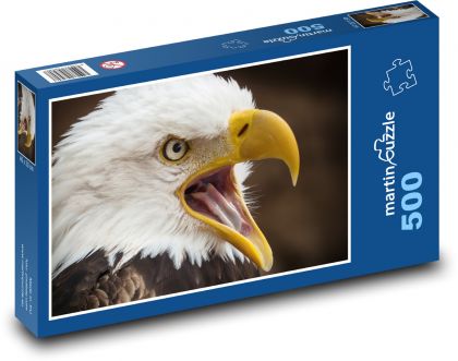 Sea eagle - predator, bird - Puzzle of 500 pieces, size 46x30 cm 