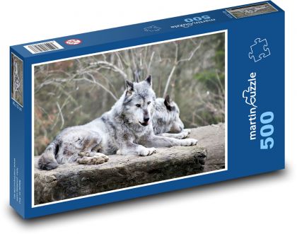 Arktischer Wolf - Tier, Säugetier - Puzzle - 500 Teile