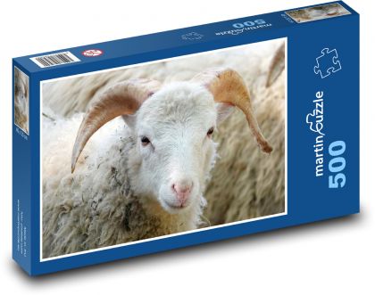 Ovce - zviera, cicavec - Puzzle 500 dielikov, rozmer 46x30 cm 