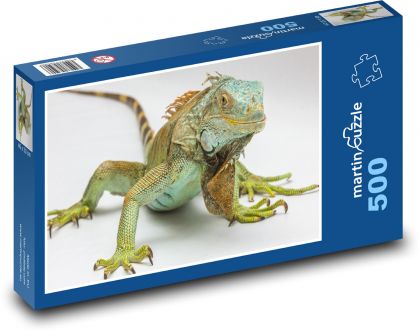Iguana - reptile, animal - Puzzle of 500 pieces, size 46x30 cm 