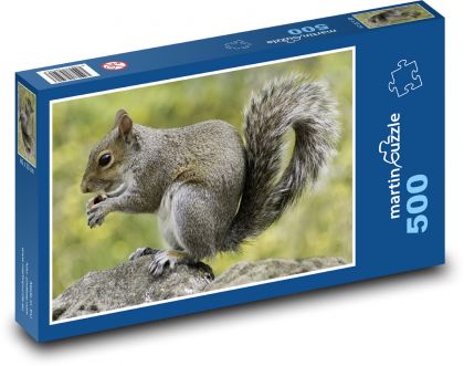 Squirrel - rodent, animal - Puzzle of 500 pieces, size 46x30 cm 