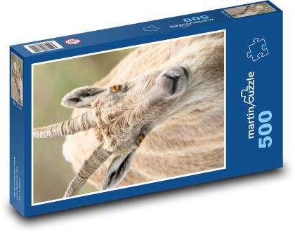 Kozioł - głowa, rogi - Puzzle 500 elementów, rozmiar 46x30 cm