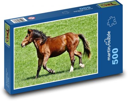 Kůň - zvíře, savec - puzzle 500 dílků