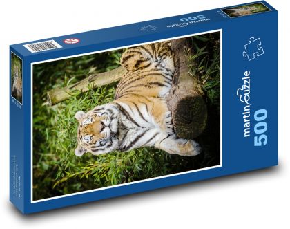 Tiger - big cat, mammal - Puzzle of 500 pieces, size 46x30 cm 