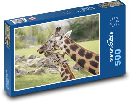 Żyrafa - dzikie zwierzęta, ssaki - Puzzle 500 elementów, rozmiar 46x30 cm