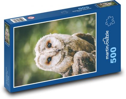 Owl - bird, animal - Puzzle of 500 pieces, size 46x30 cm 