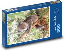 Koala - marsupial, herbivore Puzzle of 500 pieces - 46 x 30 cm 