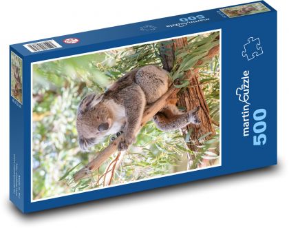 Koala - vačnatec, býložravec - Puzzle 500 dílků, rozměr 46x30 cm
