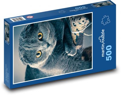 Škótska mačka - zviera, domáce zviera - Puzzle 500 dielikov, rozmer 46x30 cm 