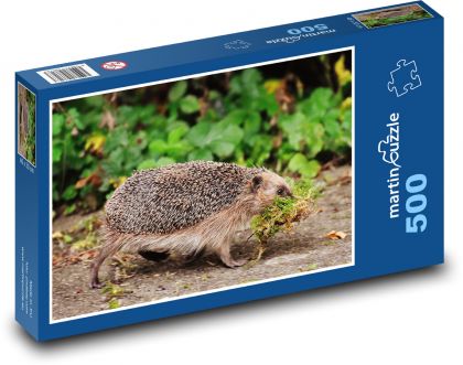 Jeż - zwierzę, las - Puzzle 500 elementów, rozmiar 46x30 cm