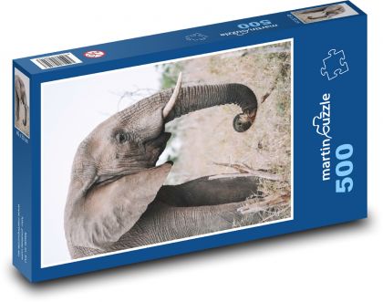 Slon - zvíře, savec - Puzzle 500 dílků, rozměr 46x30 cm