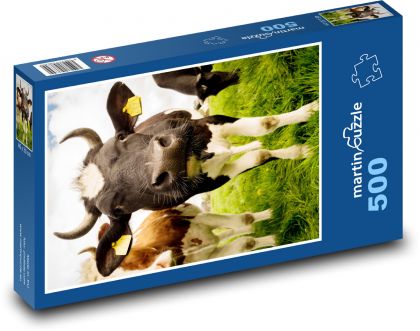 Kráva - zvíře, dobytek - Puzzle 500 dílků, rozměr 46x30 cm