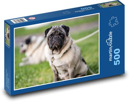 Mops - pies, zwierzę - Puzzle 500 elementów, rozmiar 46x30 cm