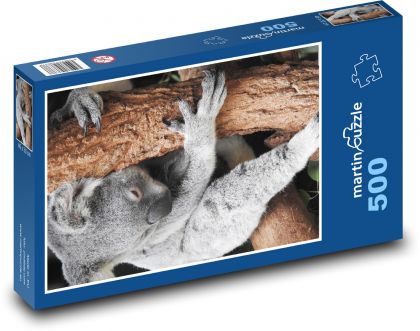 Koala - vačnatec, zvíře - Puzzle 500 dílků, rozměr 46x30 cm