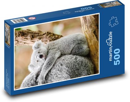 Koala - zviera, mláďa - Puzzle 500 dielikov, rozmer 46x30 cm 