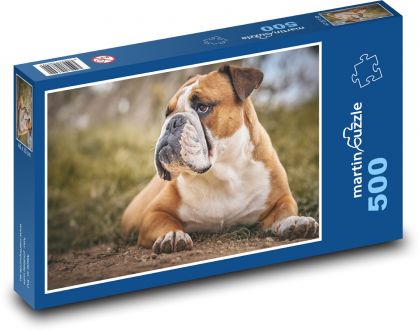 Bulldog - dog, animal - Puzzle of 500 pieces, size 46x30 cm 