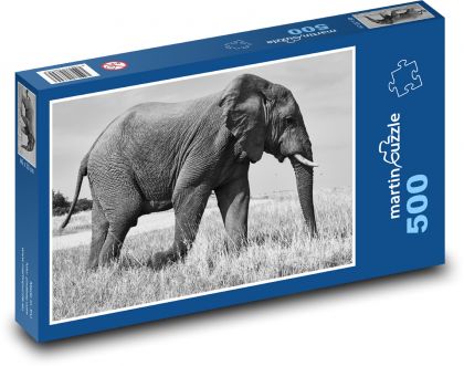 Slon - zvíře, Safari - Puzzle 500 dílků, rozměr 46x30 cm