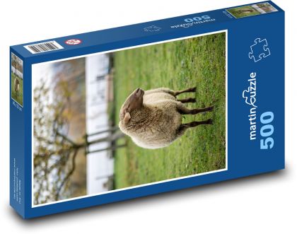 Sheep - animal, farm - Puzzle of 500 pieces, size 46x30 cm 