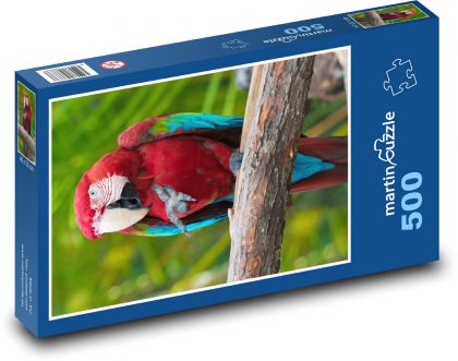 Pták - papoušek, zoo - Puzzle 500 dílků, rozměr 46x30 cm
