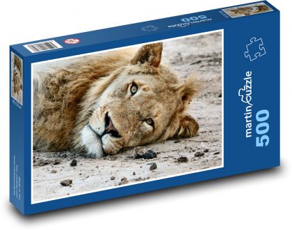 Lev - zvíře, savec - Puzzle 500 dílků, rozměr 46x30 cm