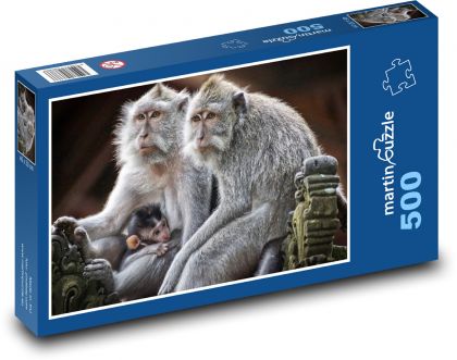 Opice - primát, savec - Puzzle 500 dílků, rozměr 46x30 cm