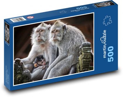 Monkey - primate, mammal - Puzzle of 500 pieces, size 46x30 cm 